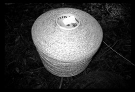 spool of thread